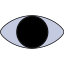 vvmico_eye